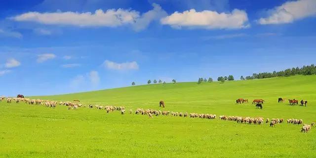 呼伦贝尔,草原之美与风情之旅